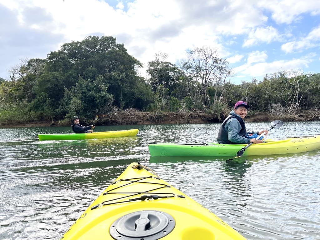 Kayaking tour in the mangrove forest in Amami Oshima.