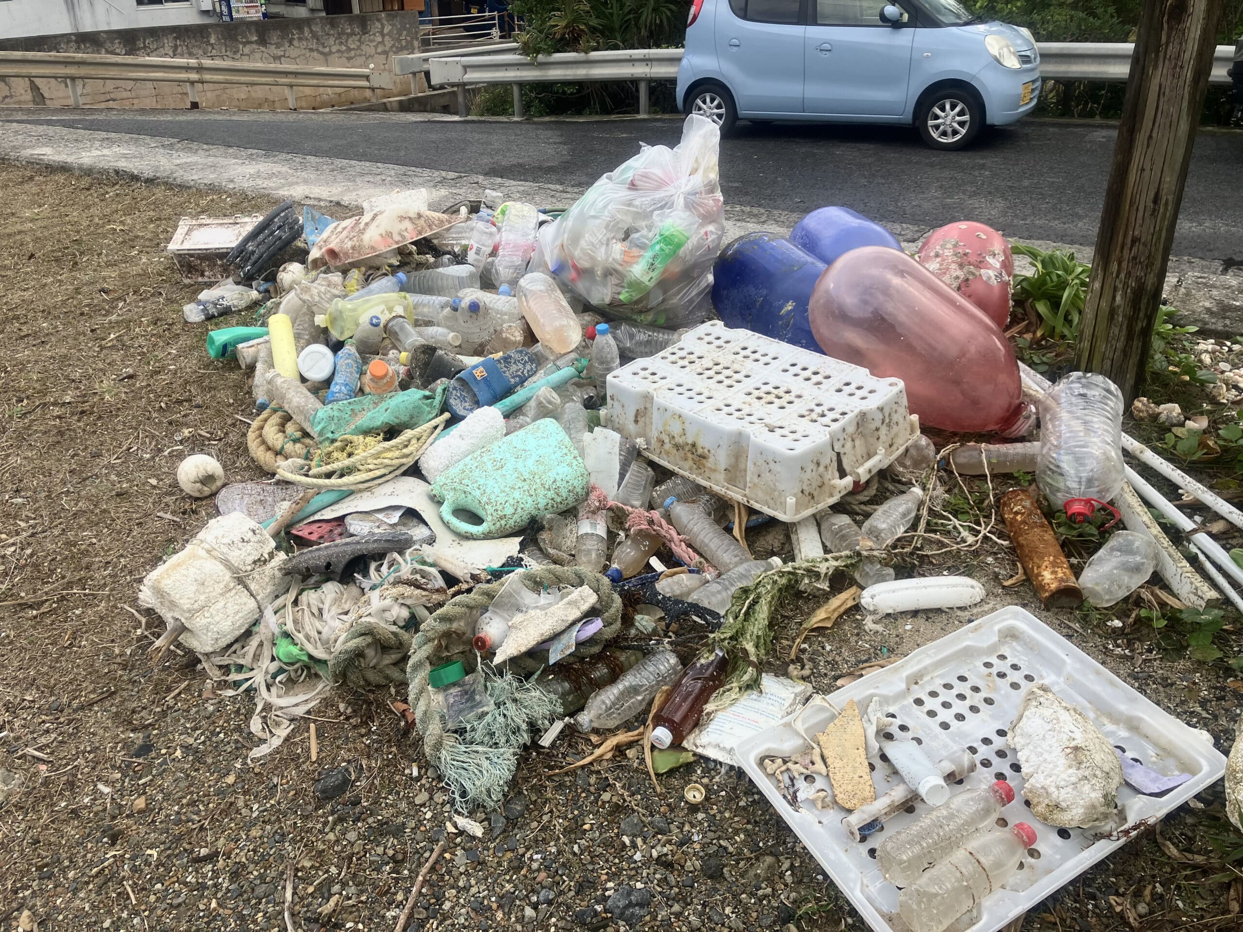 Debris collected by volunteers along the coastline.