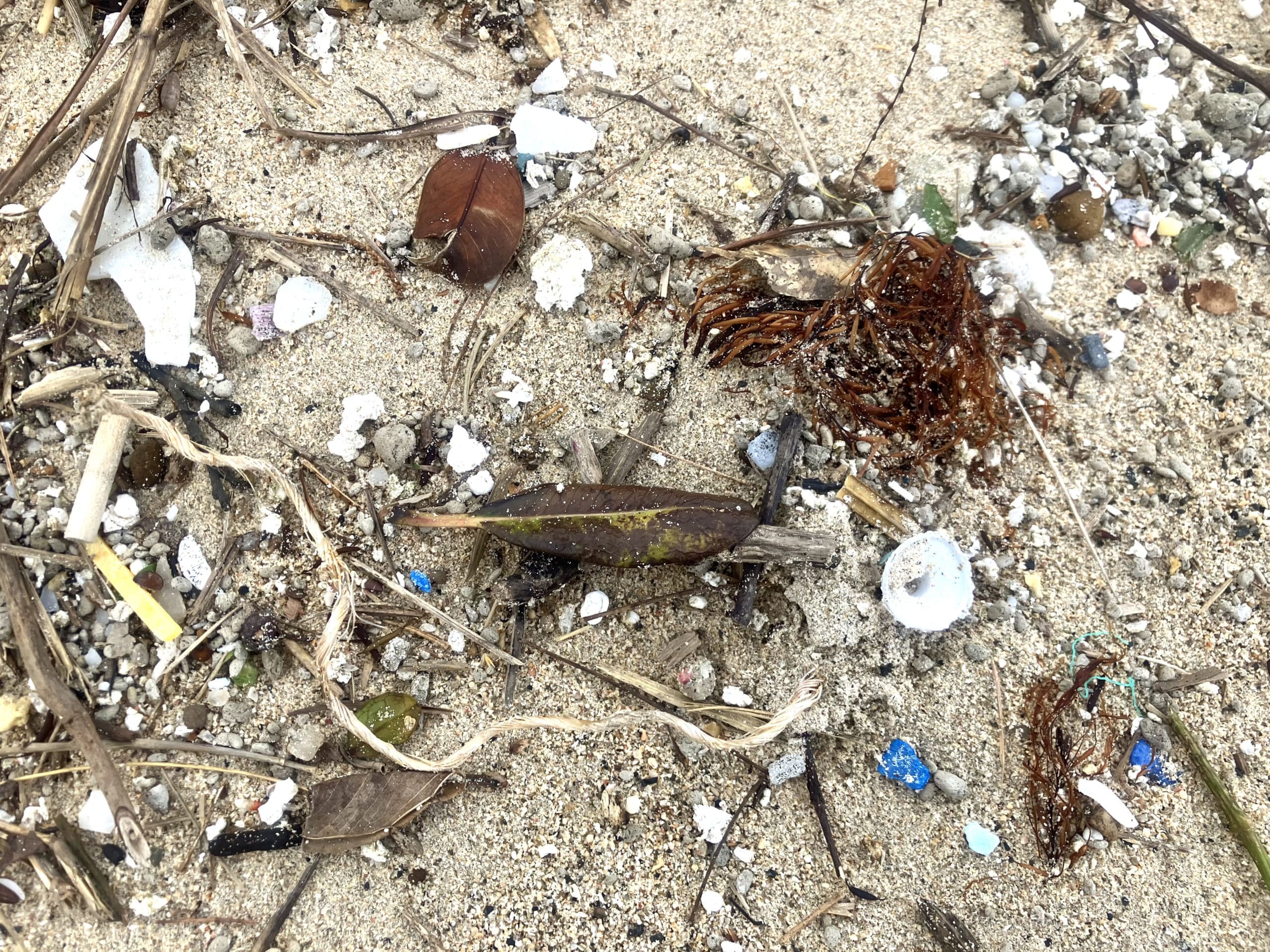 Microplastics scattered along the coastline of Amami Oshima.