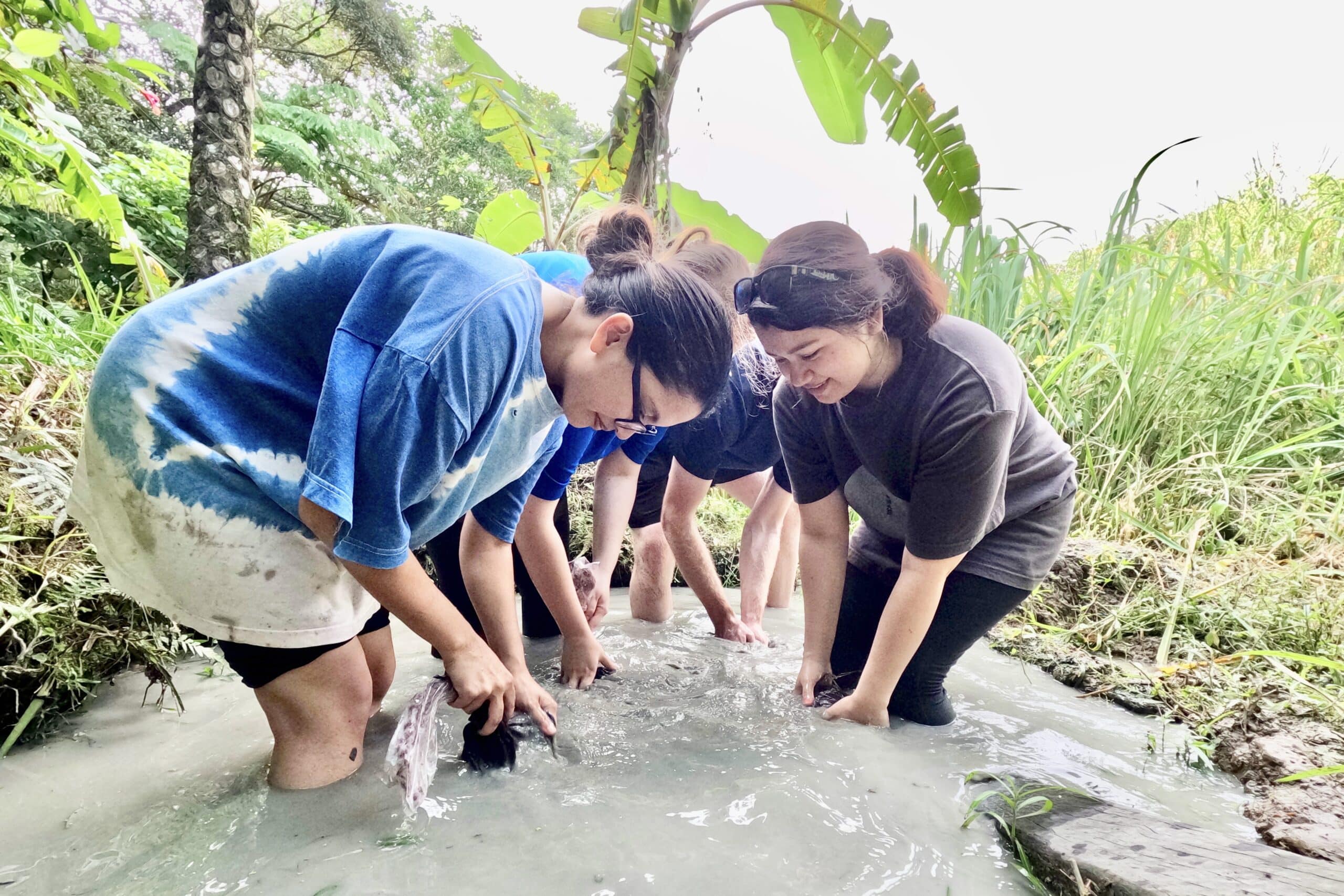 People participating in mud dyeing experiences in the mud field.