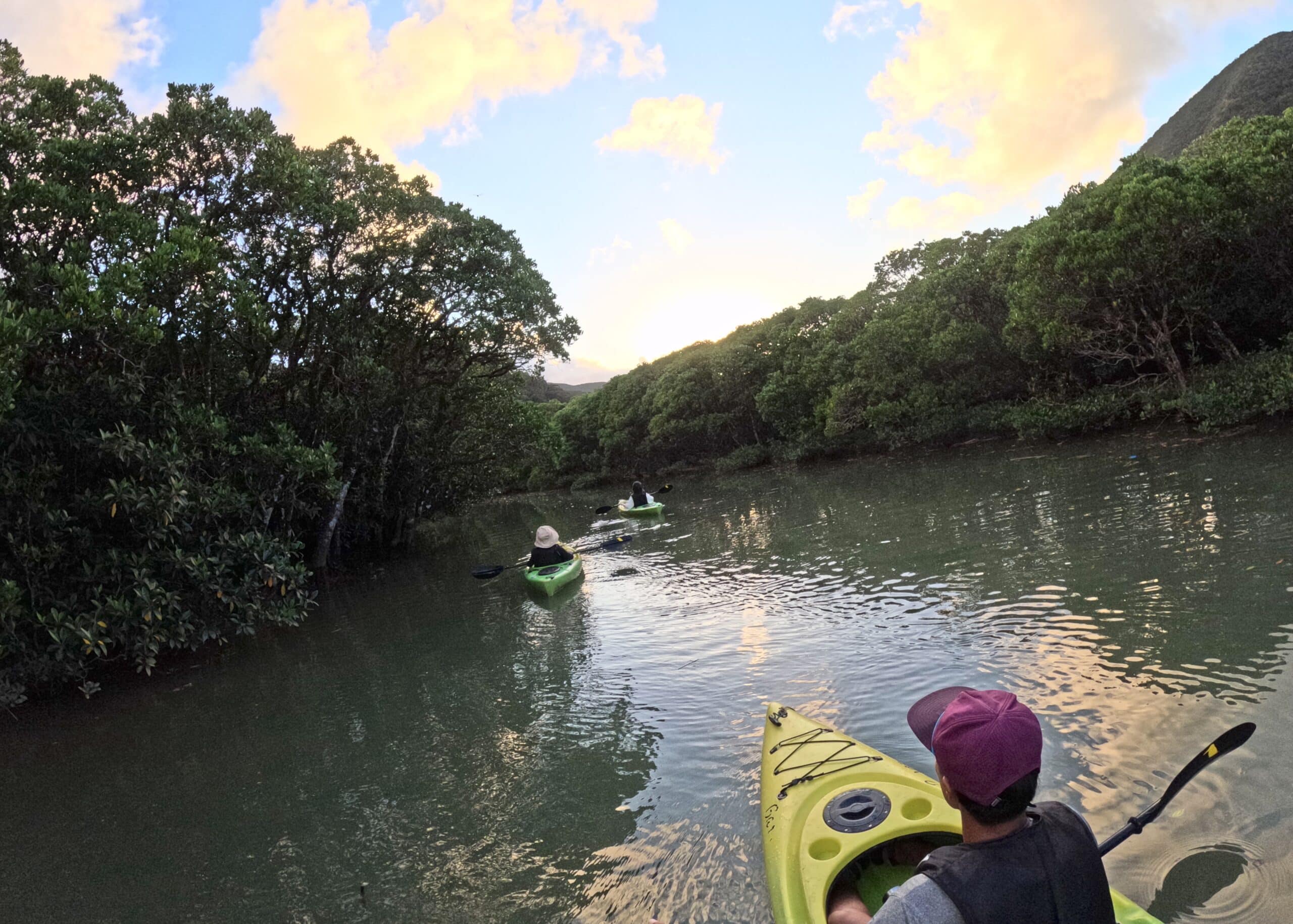 The English-speaking guide is accompanying customer on kayak