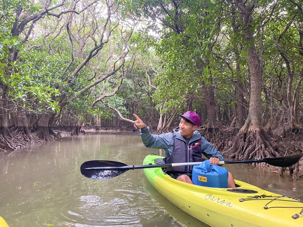 The guide is explaining about mangroves in English.