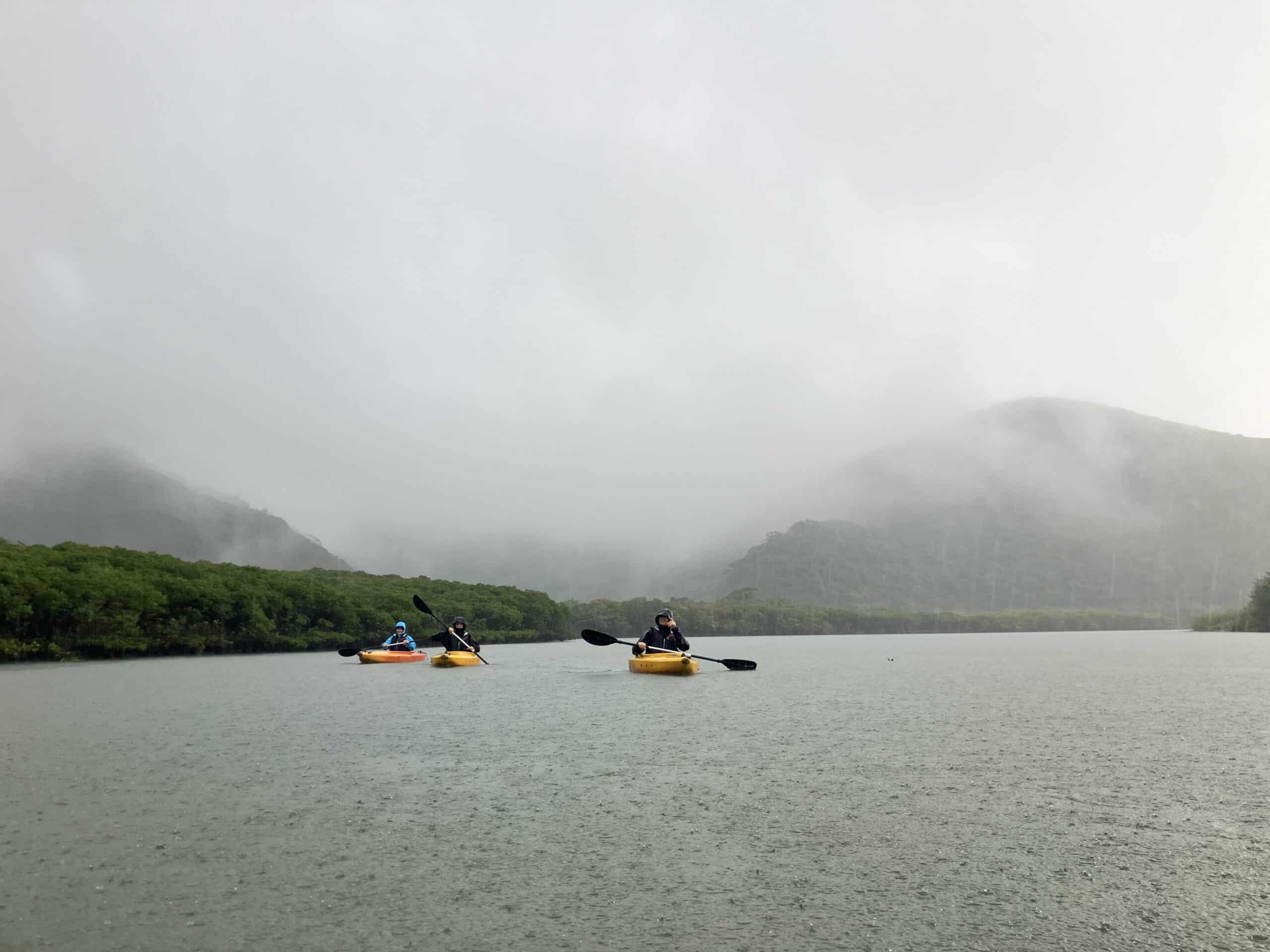 The Unique Atmosphere of Rainy Day Mangroves and the Majestic Views of the Mountains in Amami Oshima.