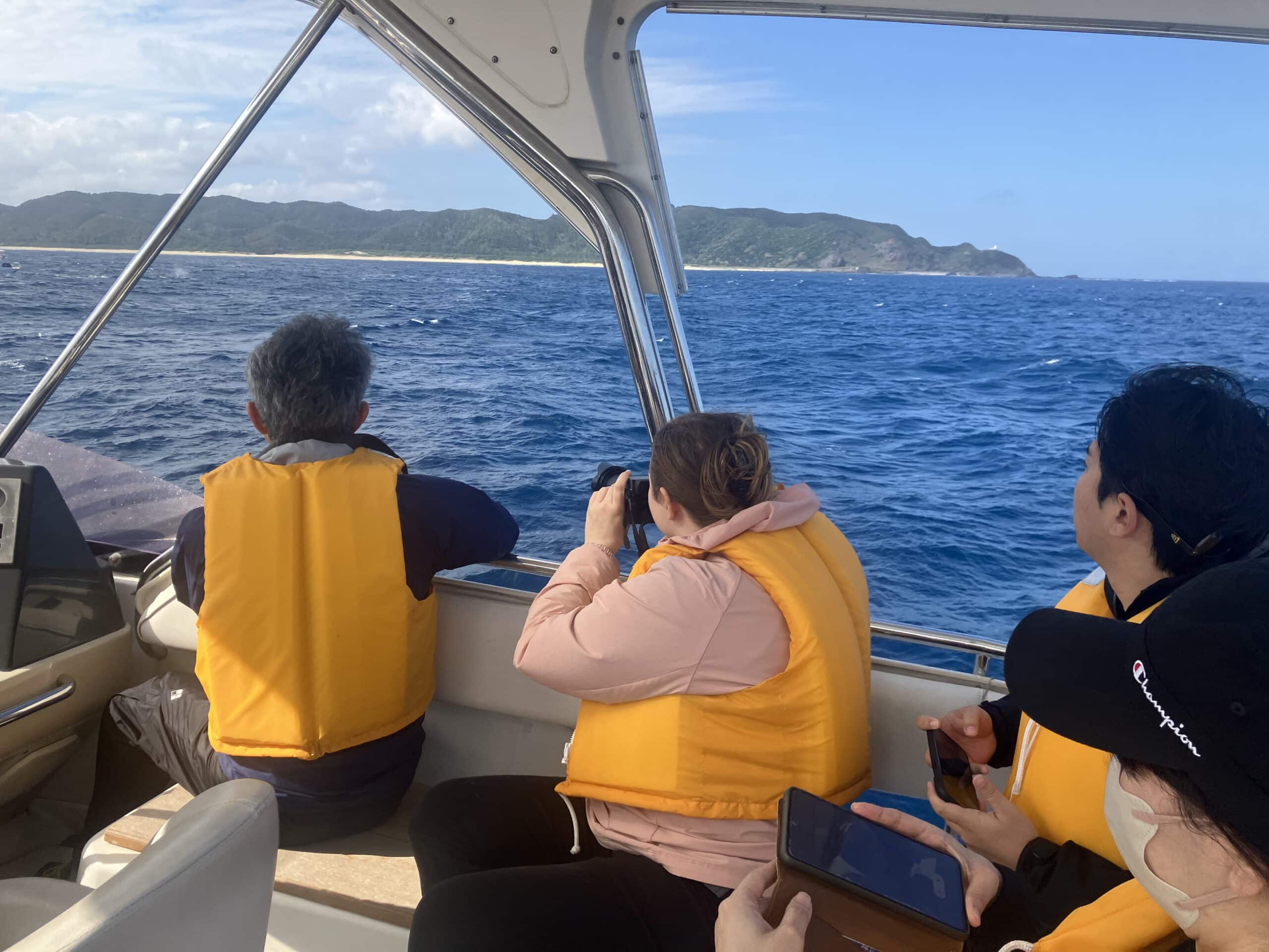 Participants searching for whales.
