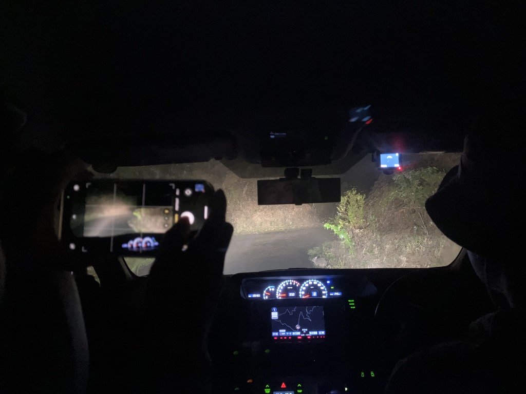 A participant capturing a Amami rabbit during the wildlife night tour from inside the car.