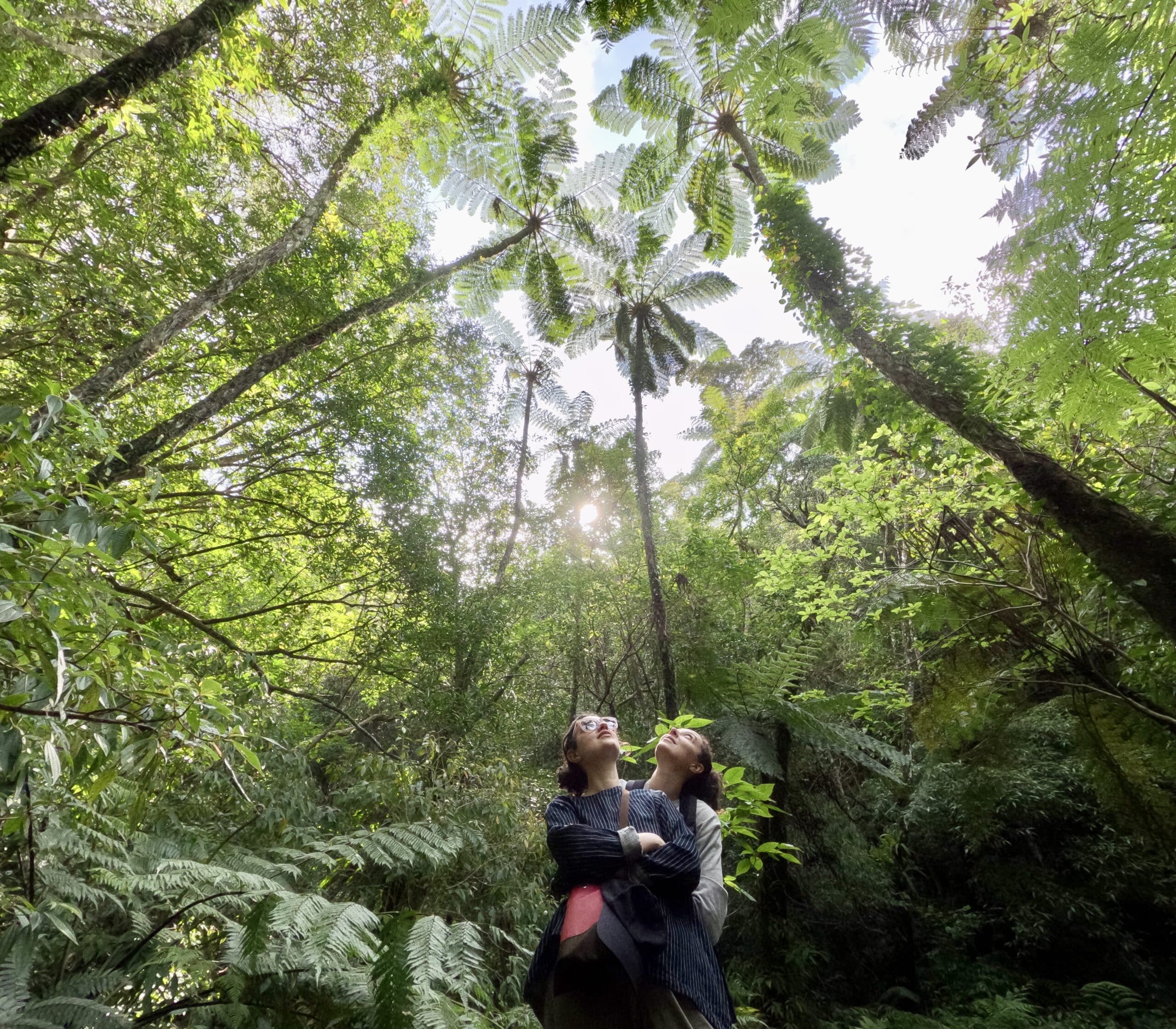 Two girls are posing under the tall tree fern in Kinsakubaru forest.