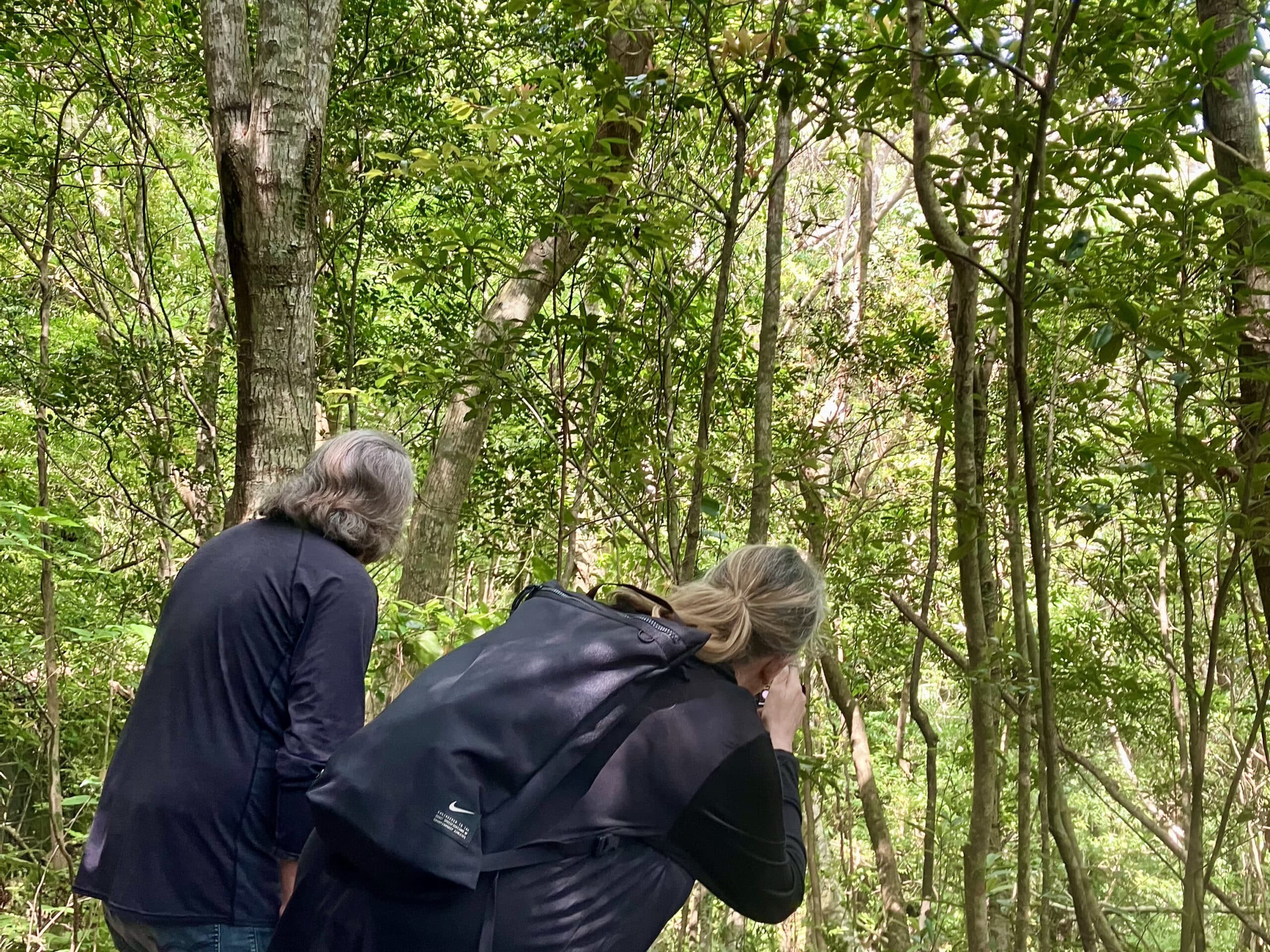 A women is watching a bird in the Kinsakubaru forest
