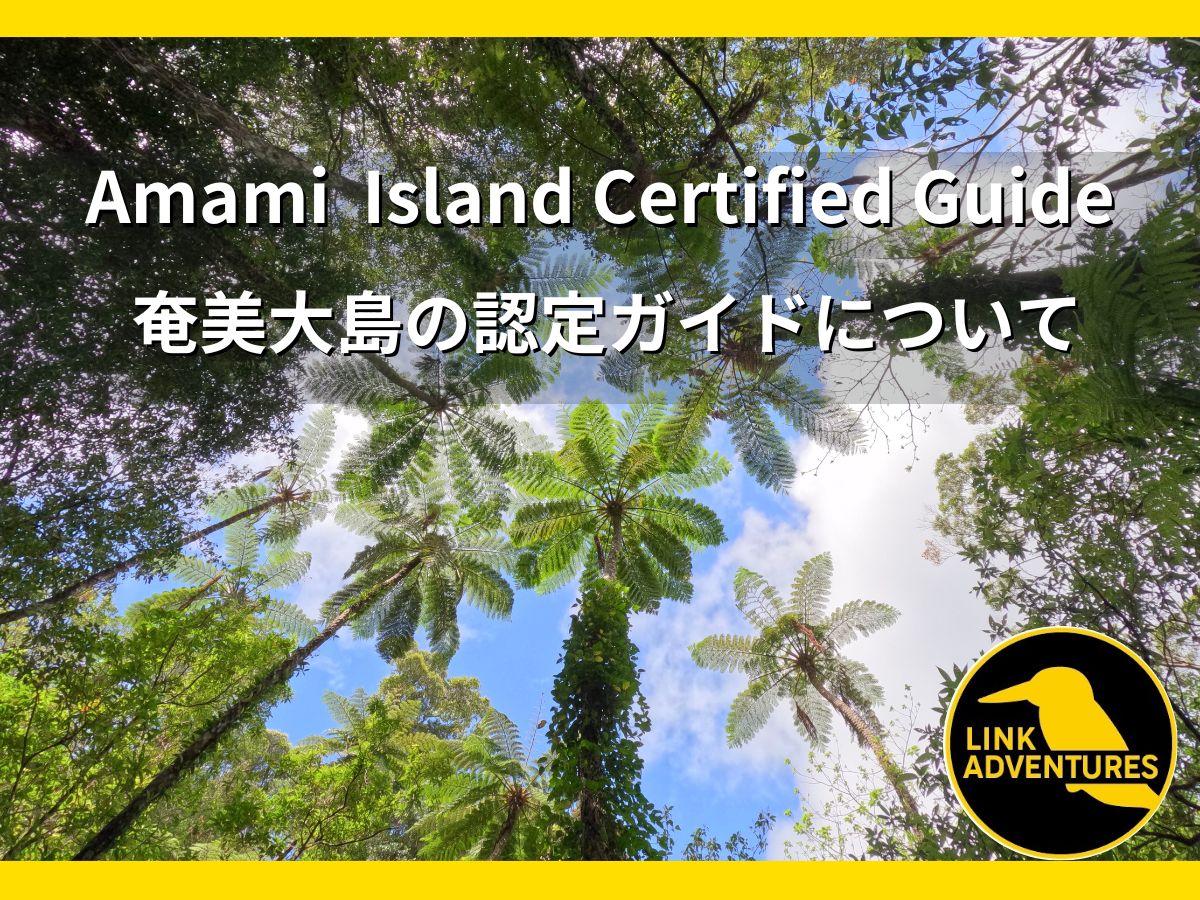 Amami Island Certified Guide - Link Adventures | Amami Oshima Island ...