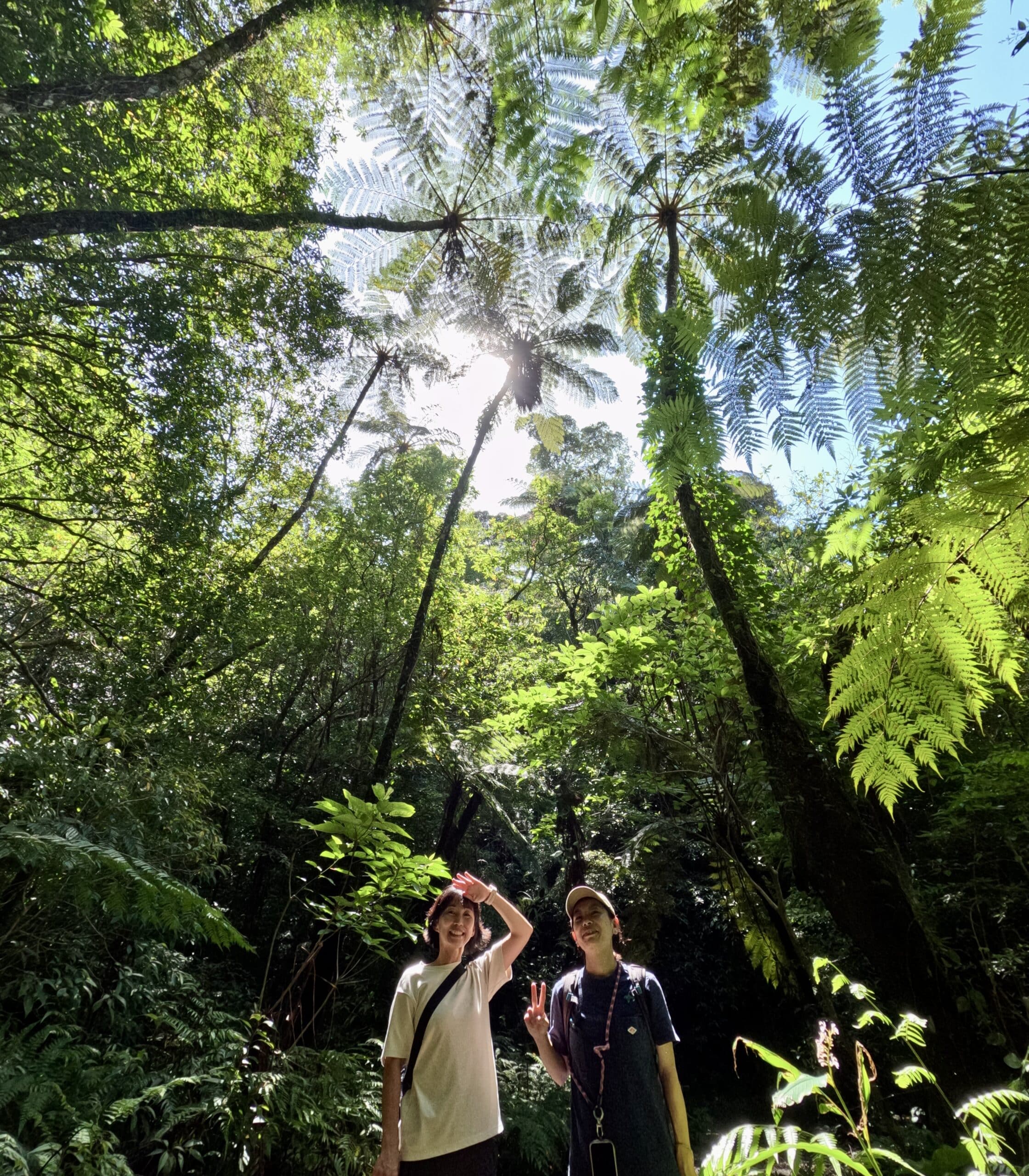 Two women is standing under the tree fern on the eco-tour