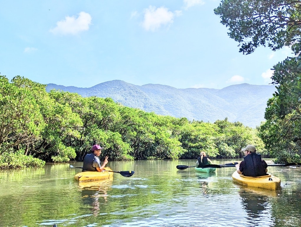 A guide is taking guests to the mangrove in English.