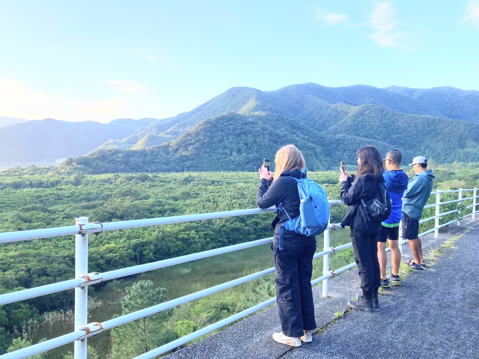 A tour participant overlooking the mangroves from a scenic viewpoint.