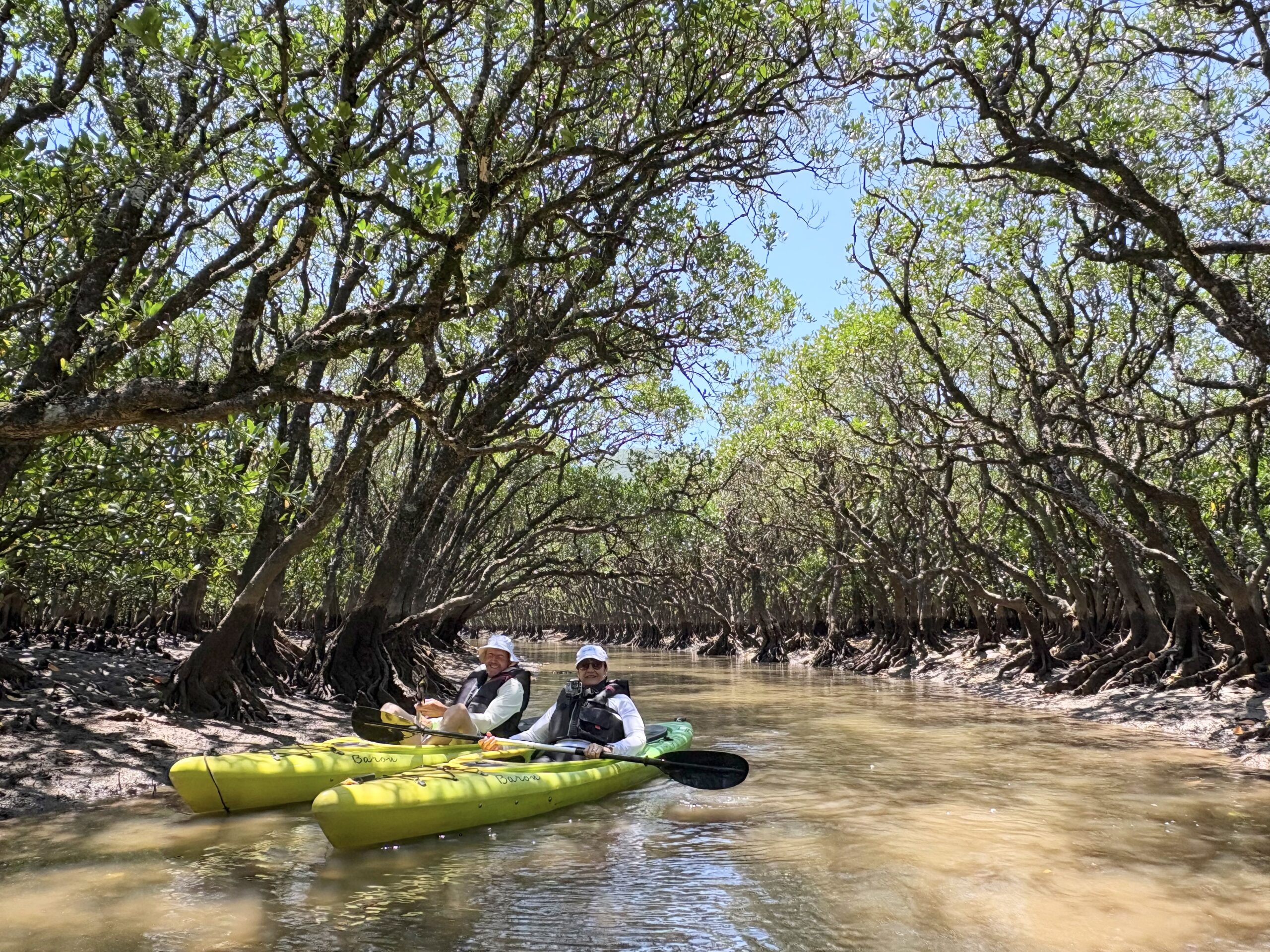 Kayaking through dense mangrove tunnel in Amami Oshima with private guide