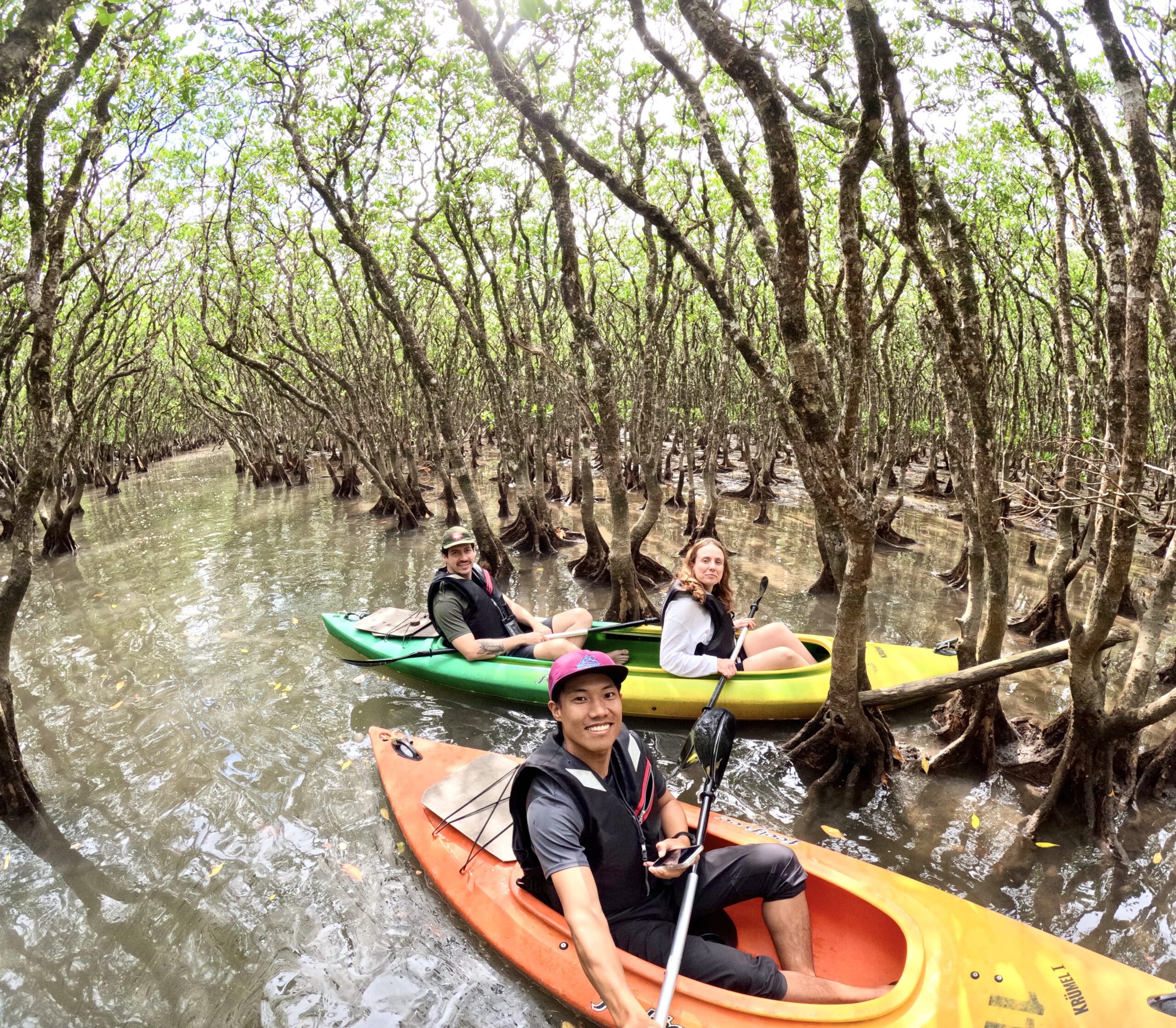Private mangrove kayaking tour with smiling guests in Amami's tidal forest