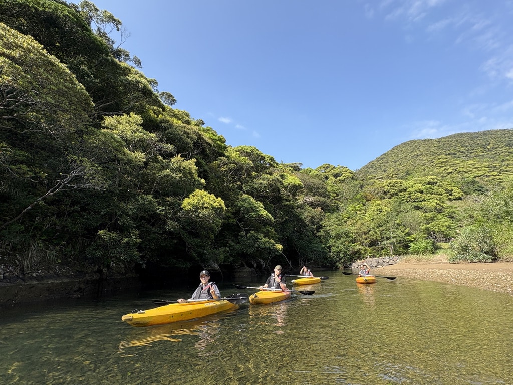 Participants Kayaking through clear mangrove river in Amami Oshima under blue sky