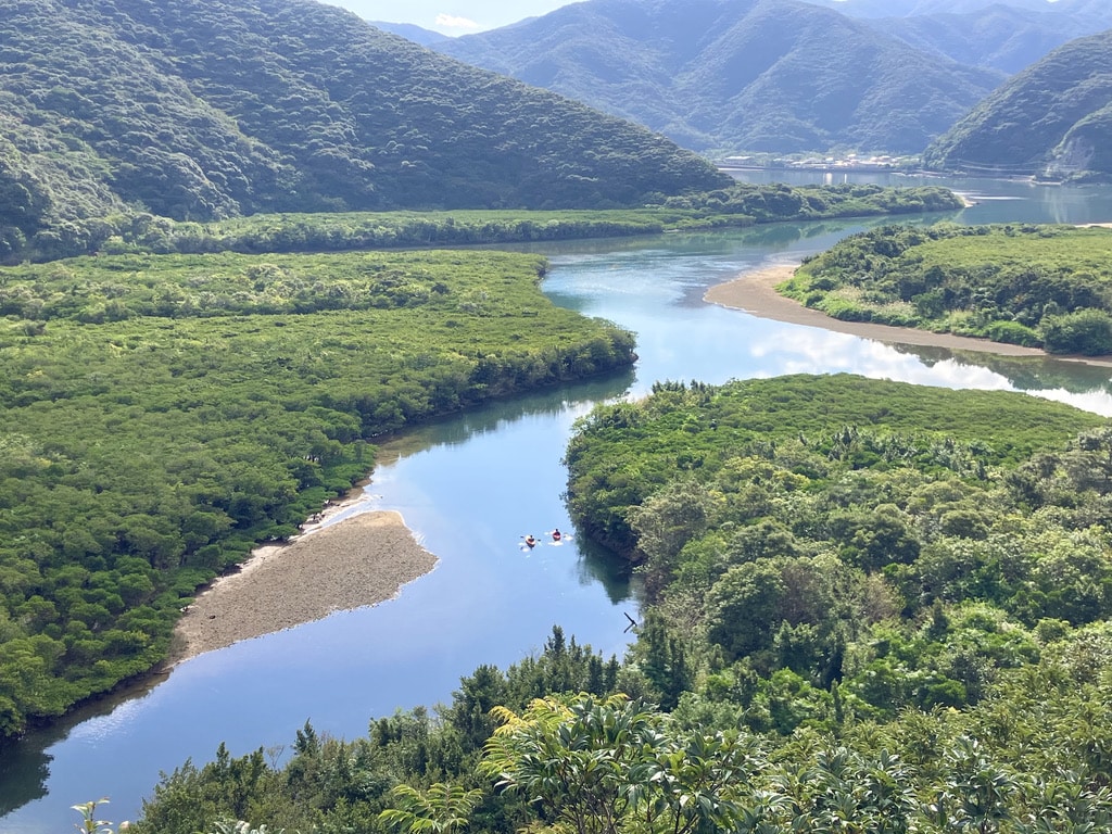 Scenic view of Amami Oshima's mangrove forest with kayakers paddling through calm water at low tide