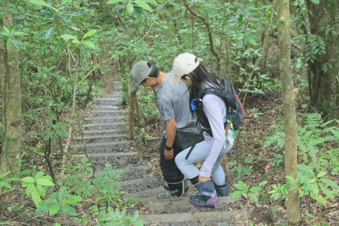 Hiking through the lush forest of Amami with wooden steps