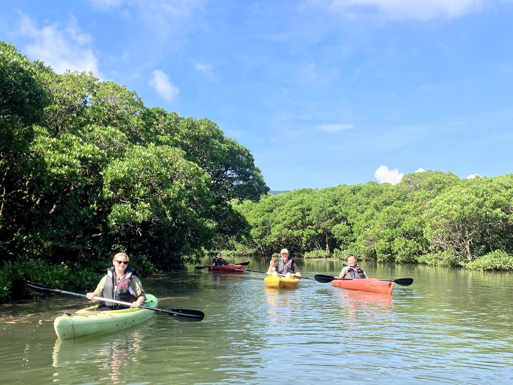 Kayaking through the mangrove forest in Amami Oshima