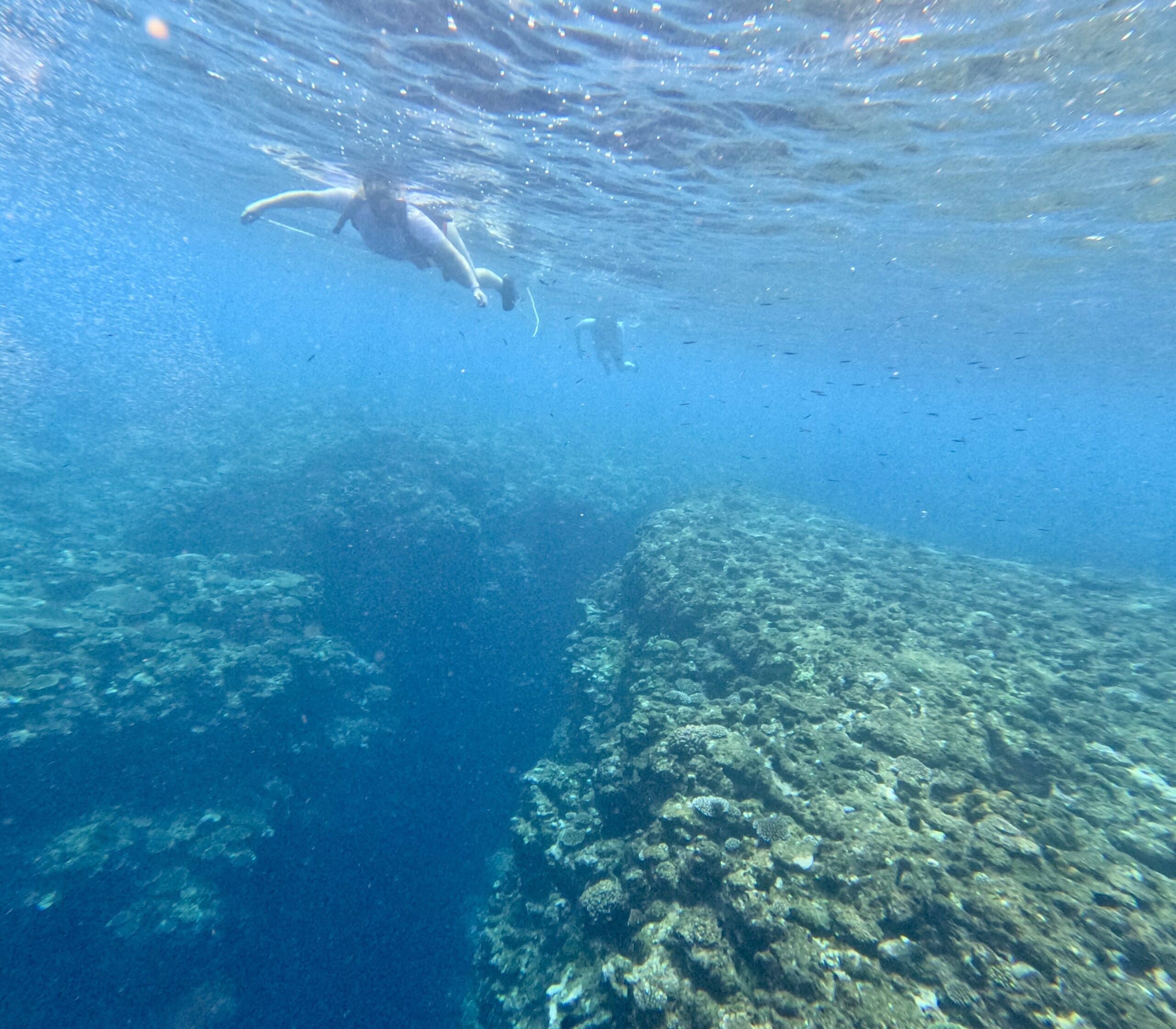 Snorkelers exploring coral reefs and clear blue waters around Amami Oshima.