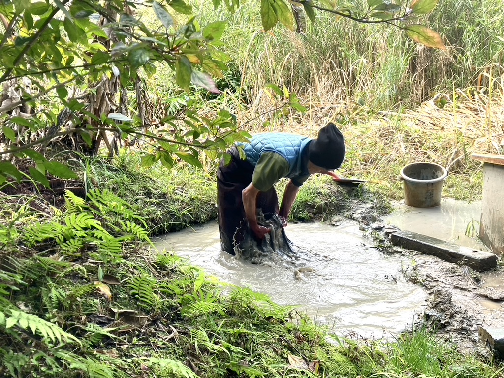 Craftsman practicing the unique mud-dyeing process, an essential step in creating Amami textiles.