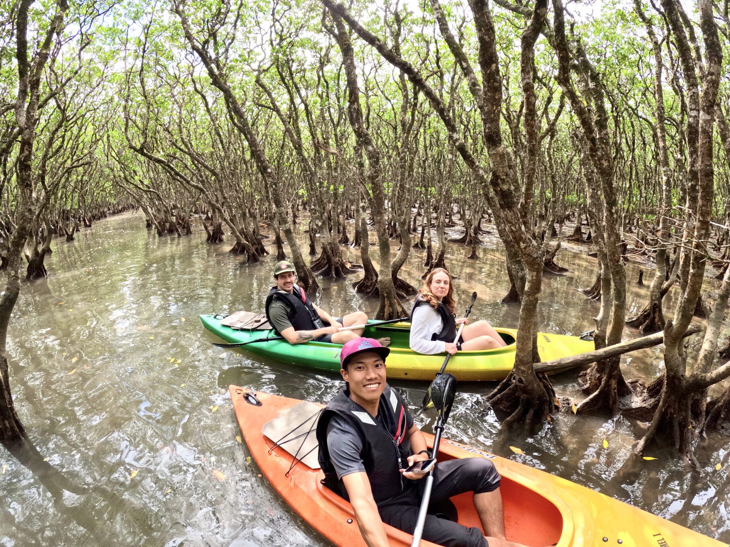 Guided mangrove kayaking tour through Amami Oshima’s tidal forest