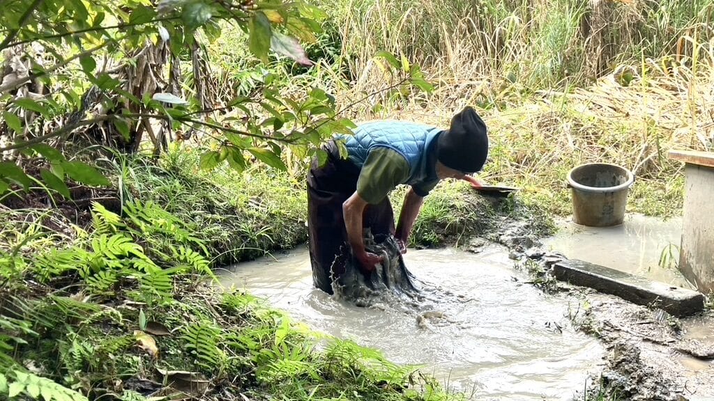 Craftsman practicing the unique mud-dyeing process, an essential step in creating Amami textiles.