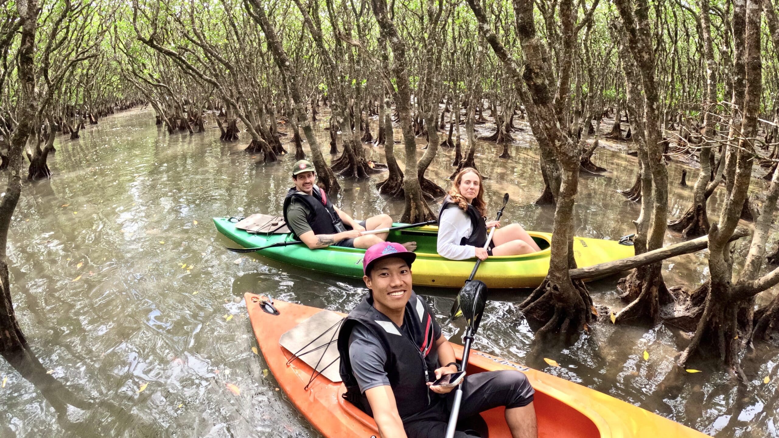 Guided mangrove kayaking tour through Amami Oshima’s tidal forest