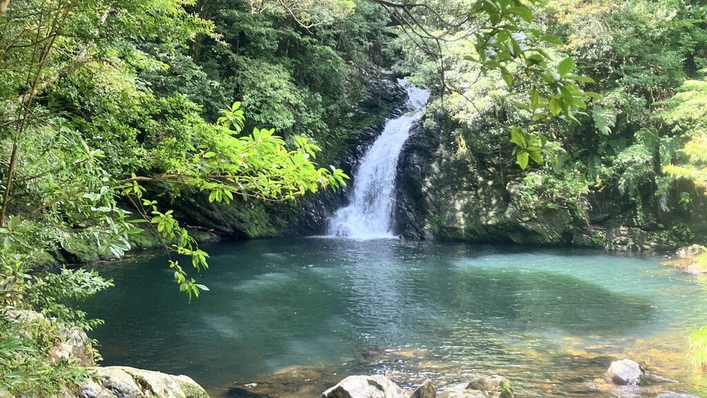 A peaceful forest waterfall surrounded by subtropical vegetation on Amami Oshima