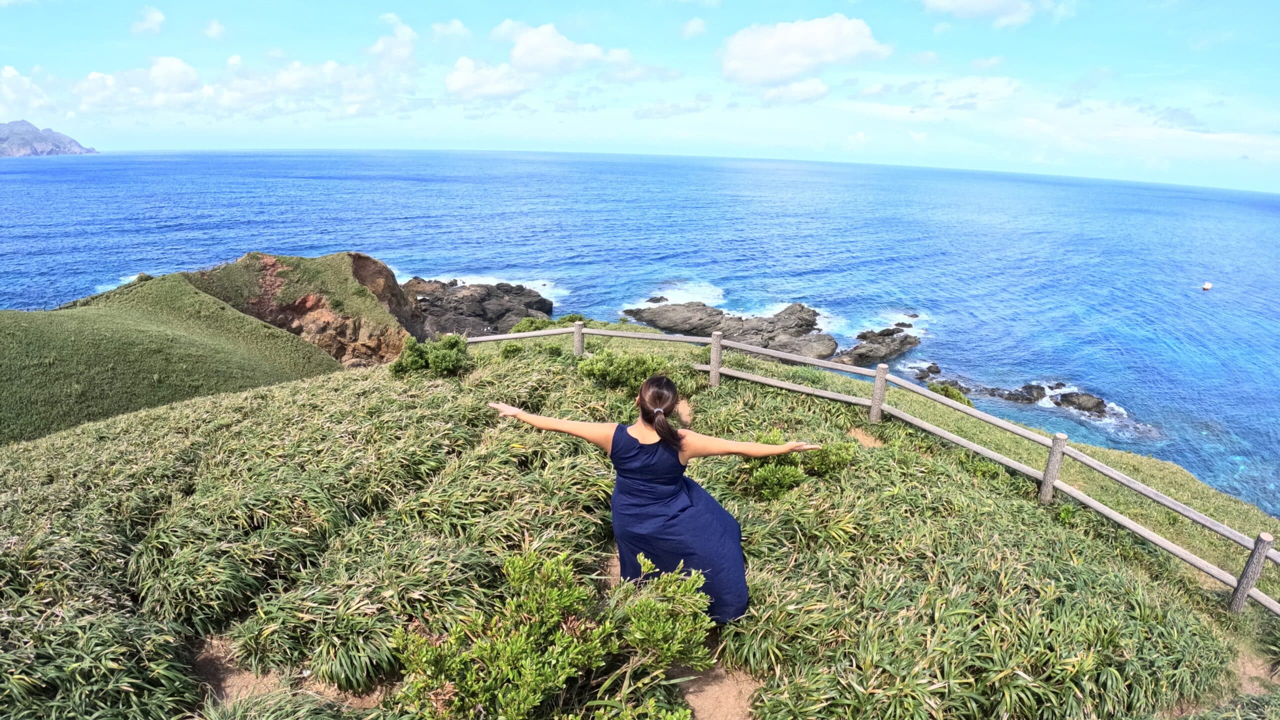 Panoramic coastal view from Miyakozaki Cape covered with bamboo grass on Amami Oshima